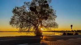 Wieczorne słońce nad jeziorem Święcajty - zdjęcie 2