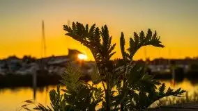 Wschód słońca w Giżycku, jezioro Niegocin - zdjęcie 28