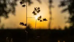 Zachód słońca Pierkunowski Róg - zdjęcie 24