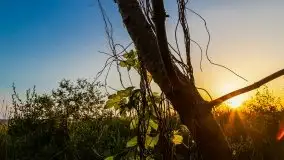 Zachód słońca Pierkunowski Róg - zdjęcie 34