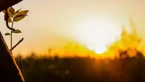 Zachód słońca Pierkunowski Róg - zdjęcie 37