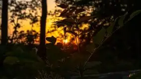 Zachód słońca Pierkunowski Róg - zdjęcie 27