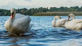 Zachód słońca nad jeziorem Gołdopiwo - zdjęcie 23