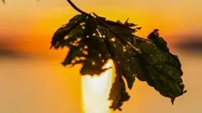 Zachód słońca nad jeziorem Gołdopiwo - zdjęcie 40