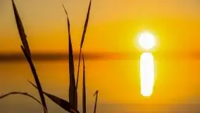 Niegocin migoczący w zachodzącym słońcu - zdjęcie 4