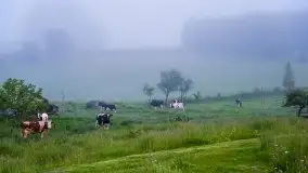 Mazurski poranek we mgle - zdjęcie 12