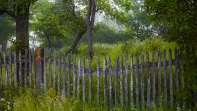 Mazurski poranek we mgle - zdjęcie 5