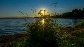 Czerwcowe Mazury na zdjęciach Stanisława Sielewicza - zdjęcie 8