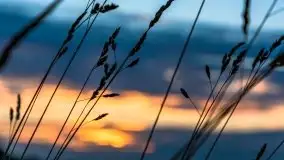 Zachód słońca nad jeziorem Kisajno - zdjęcie 24