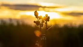 Zachód słońca, plaża Bogacko, jezioro Dejguny - zdjęcie 8