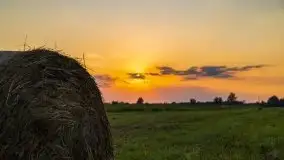 Zachód Słońca nad kanałem Jeglińskim - zdjęcie 35