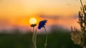 Zachód Słońca nad kanałem Jeglińskim - zdjęcie 12