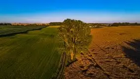 Zachody słońca na Mazurach, lipiec 2020 - zdjęcie 14