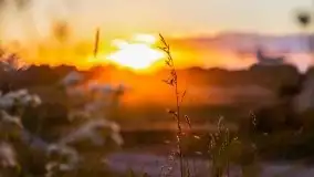 Zachód słońca w Wilkaskach - zdjęcie 7