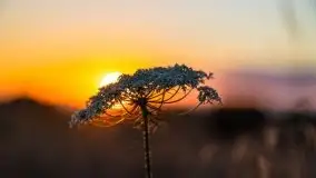 Zachód słońca w Wilkaskach - zdjęcie 8