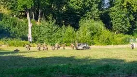 Operacja Boyen, sierpień 2020 - zdjęcie 79