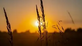 Zachód słońca nad jeziorami Dargin i Skarż Wielki - zdjęcie 12