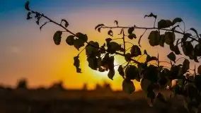 Zachód słońca nad jeziorami Dargin i Skarż Wielki - zdjęcie 5