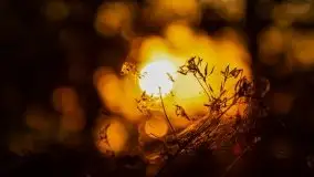 Zachód słońca nad jeziorami Dargin i Skarż Wielki - zdjęcie 21