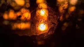 Zachód słońca nad jeziorami Dargin i Skarż Wielki - zdjęcie 29