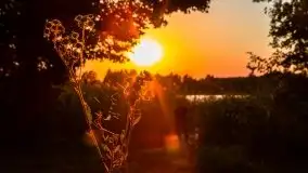 Jezioro Ryńskie, Zatoka Mrówcza - zdjęcie 2