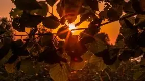 Jezioro Ryńskie, Zatoka Mrówcza - zdjęcie 7