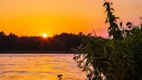 Jezioro Ryńskie, Zatoka Mrówcza - zdjęcie 22