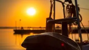 Wschód Słońca, Wilkasy, jezioro Niegocin, sierpień 2020 r. - zdjęcie 47