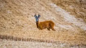 Piękno letnich, sierpniowych Mazur - zdjęcie 9