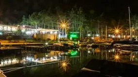 Nocne życie w porcie Tajty, sierpień 2020 r. - zdjęcie 8