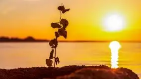 Zachód słońca nad jeziorem Dargin - zdjęcie 30