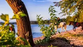 Zachód słońca nad jeziorem Dargin - zdjęcie 64