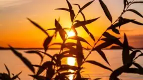 Zachód słońca nad jeziorem Dargin - zdjęcie 34