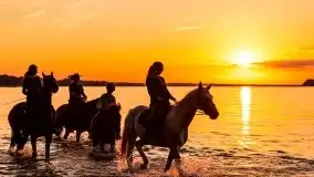 Zachód słońca nad jeziorem Dargin - zdjęcie 49