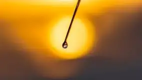 Wschód słońca nad jeziorem Pozezdrze - zdjęcie 24