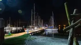 Nocne Tło Dla Mew, wrzesień 2020 r. - zdjęcie 2