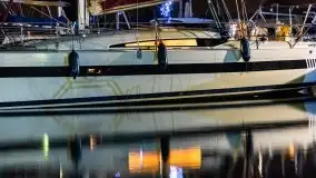 Nocne Tło Dla Mew, wrzesień 2020 r. - zdjęcie 9