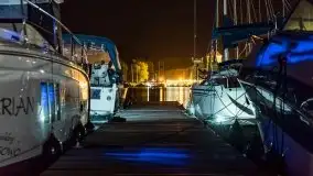 Nocne Tło Dla Mew, wrzesień 2020 r. - zdjęcie 19