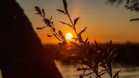 Zachód słońca nad jeziorem Niegocin - zdjęcie 28