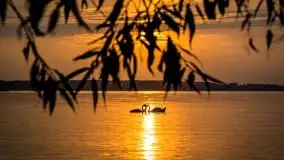 Wrześniowe Mazury na zdjęciach Staszka Sielewicza - zdjęcie 20