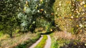 W poszukiwaniu jesieni na Mazurach - zdjęcie 12