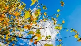 W poszukiwaniu jesieni na Mazurach - zdjęcie 1