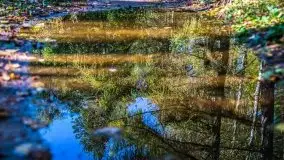 W poszukiwaniu jesieni na Mazurach - zdjęcie 22