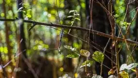 W poszukiwaniu jesieni na Mazurach - zdjęcie 27