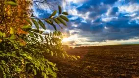 W poszukiwaniu jesieni na Mazurach - zdjęcie 42