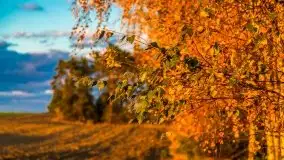 W poszukiwaniu jesieni na Mazurach - zdjęcie 34