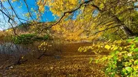 Piękna polska, mazurska złota jesień... rok temu - zdjęcie 16