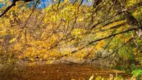 Piękna polska, mazurska złota jesień... rok temu - zdjęcie 19