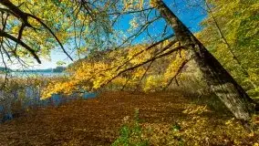 Piękna polska, mazurska złota jesień... rok temu - zdjęcie 21