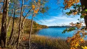 Piękna polska, mazurska złota jesień... rok temu - zdjęcie 17